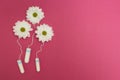Three flowers from hygienic tampons on a pink background