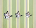 Three flying ducks on old wall Royalty Free Stock Photo