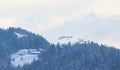 Three flying swans in the winter landscape.