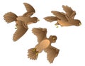 Three flying young birds.