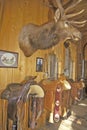 Three Forks Custom Saddlery, MT