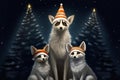 Three foxes in a Santa Claus hat on a background of Christmas trees