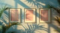 Three frames on the wall with palm leaves shadows