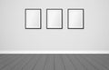 Three frames on a wall. Vector mock up. Modern scandinavian interior design