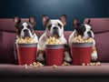 Three French bulldog with popcorn watching a movie in cinema. Generate Ai