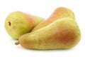 Three fresh abate pears Royalty Free Stock Photo