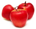 Three fresh apples Royalty Free Stock Photo