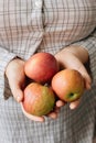 Three fresh apples in a woman hands. Royalty Free Stock Photo