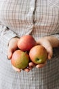 Three fresh apples in a woman hands. Royalty Free Stock Photo