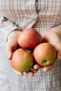 Three fresh apples in a woman hands. Royalty Free Stock Photo