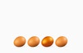 Three fresh brown chicken eggs lie next to one golden egg on a white with empty copy space Royalty Free Stock Photo