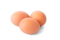 Three fresh brown eggs isolated on white background with clipping path Royalty Free Stock Photo