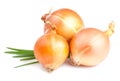 Three Fresh bulbs of onion and Fresh Scallions Royalty Free Stock Photo