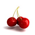 Three fresh cherries