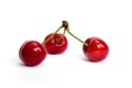 Three fresh cherries Royalty Free Stock Photo