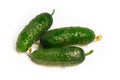Three fresh cucumbers with dew on them Royalty Free Stock Photo