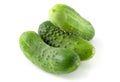Three fresh cucumbers isolated on white background Royalty Free Stock Photo
