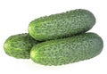 Three fresh cucumbers isolated on white background. Green cucumbers Royalty Free Stock Photo