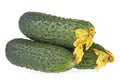 Three fresh cucumbers isolated on white background Royalty Free Stock Photo