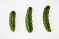 Three fresh cucumbers on a white background. Royalty Free Stock Photo