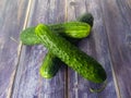 Three fresh cucumbers on a wooden table.  Close-up Royalty Free Stock Photo