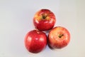 Three fresh delicious gala apples on white Royalty Free Stock Photo