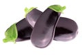 Three fresh eggplant over white background Royalty Free Stock Photo