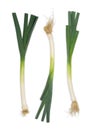 Three 3 fresh green leek isolated on white background Royalty Free Stock Photo