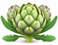 Three Fresh Green Artichokes on White Background Royalty Free Stock Photo