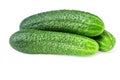 Three fresh green cucumbers isolated on white background Royalty Free Stock Photo