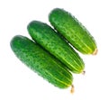 Three fresh green cucumbers isolated on white background Royalty Free Stock Photo