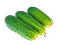 Three fresh green cucumbers isolated on white background Royalty Free Stock Photo