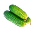 Three fresh green cucumbers isolated on white background Royalty Free Stock Photo