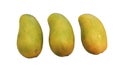 Three fresh juicy mangos on a white background