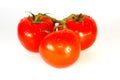 Three fresh just washed vine tomatoes Royalty Free Stock Photo