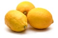 Three fresh lemons on white background Royalty Free Stock Photo