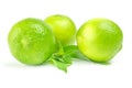 Three fresh limes with leaves Isolated on white Royalty Free Stock Photo
