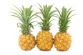 Three fresh mini pineapple fruits