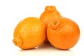 Three fresh minneola's