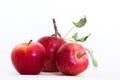 Three fresh natural organic Red Heirloom Delicious closeup of delicious apples Royalty Free Stock Photo