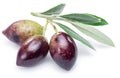 Three fresh olives with leaves on the white. Royalty Free Stock Photo