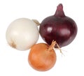 Only three fresh onion Royalty Free Stock Photo