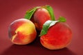 Three fresh peaches Royalty Free Stock Photo