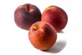 Three fresh peaches with leaves and drops of water Royalty Free Stock Photo