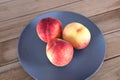 Three fresh peaches on the plate Royalty Free Stock Photo