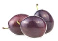 Three fresh plums isolated on white background. Juicy purple plums Royalty Free Stock Photo