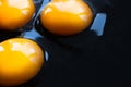 Three fresh raw chicken egg yolks spilled on a dark pan Royalty Free Stock Photo