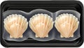 Three Fresh Raw Scallops in Shell with Packaging Royalty Free Stock Photo