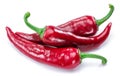 Three fresh red chilli peppers isolated on white background Royalty Free Stock Photo