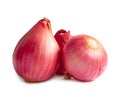 Three fresh red onion bulbs in stack isolated on white background with clipping path Royalty Free Stock Photo